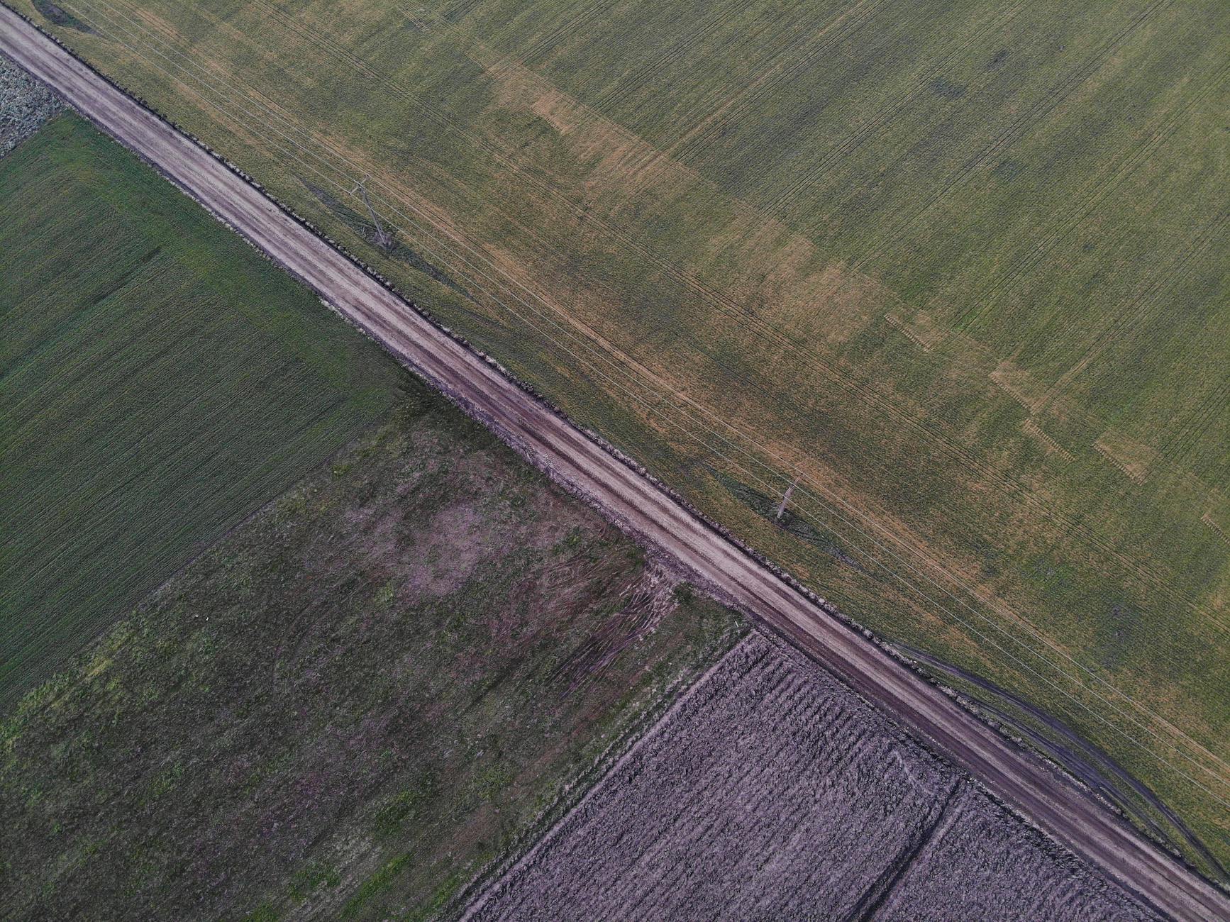 Peak Polarization Has Happened Before. Here's the Part Nobody Tells You About What Comes Next.