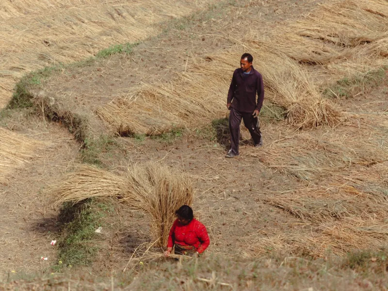 Workers Have Been Rage-Quitting Civilization Since the Black Death — The Pattern Never Changes